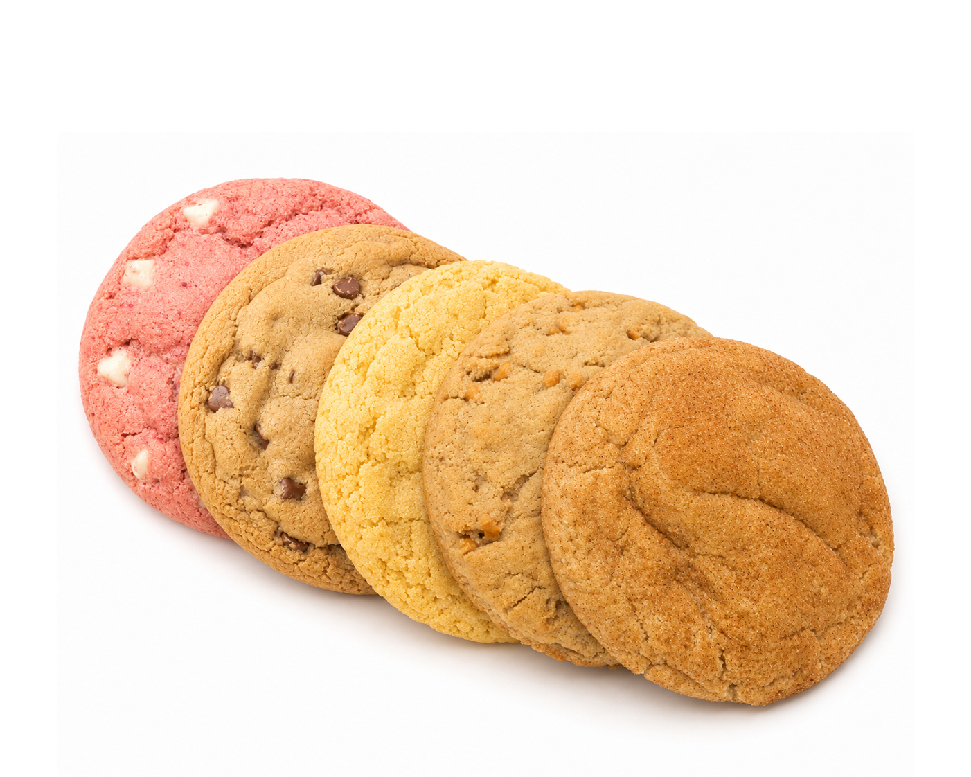 Quarter-Pound Bakery-Style Protein Cookies | 15g Protein | DanaMight