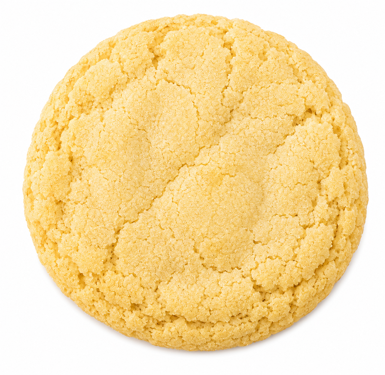 Quarter-Pound Bakery-Style Protein Cookies | 15g Protein | DanaMight